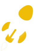 rocket icon